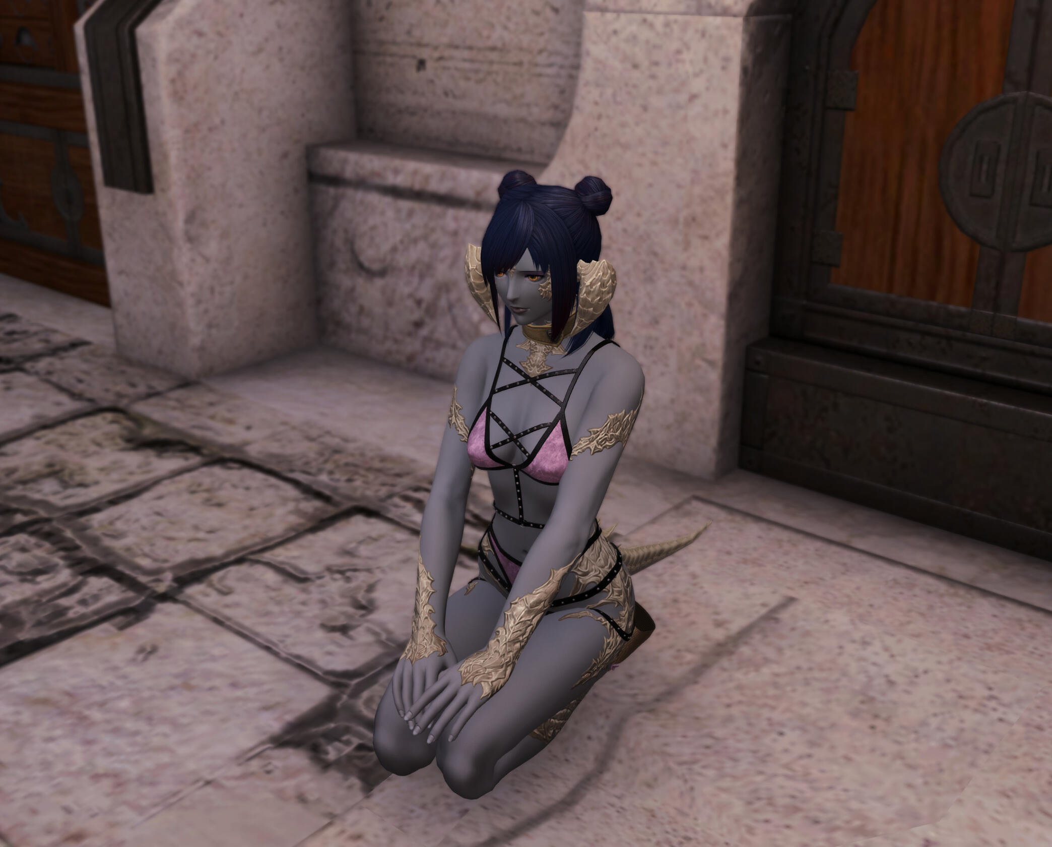 Amber waits patiently as commanded.